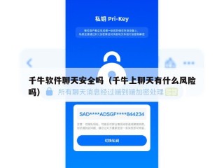 千牛软件聊天安全吗（千牛上聊天有什么风险吗）