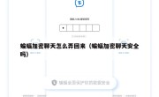 蝙蝠加密聊天怎么弄回来（蝙蝠加密聊天安全吗）