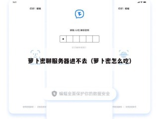 萝卜密聊服务器进不去（萝卜密怎么吃）