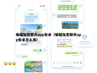 蝙蝠加密聊天app安卓（蝙蝠加密聊天app安卓怎么用）