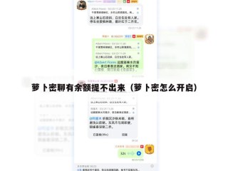 萝卜密聊有余额提不出来（萝卜密怎么开启）