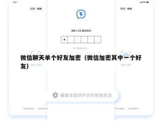 微信聊天单个好友加密（微信加密其中一个好友）
