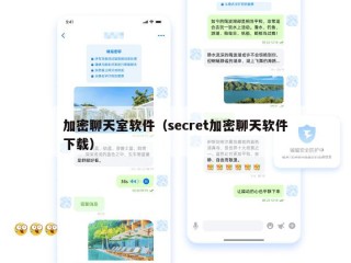加密聊天室软件（secret加密聊天软件下载）