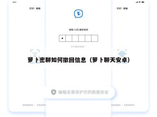 萝卜密聊如何撤回信息（萝卜聊天安卓）