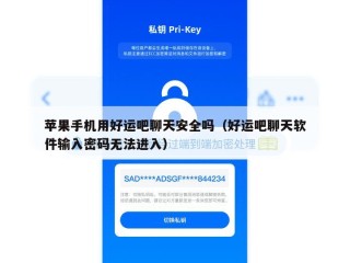 苹果手机用好运吧聊天安全吗（好运吧聊天软件输入密码无法进入）