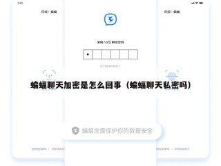 蝙蝠聊天加密是怎么回事（蝙蝠聊天私密吗）