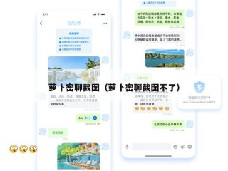 萝卜密聊截图（萝卜密聊截图不了）