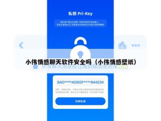 小伟情感聊天软件安全吗（小伟情感壁纸）