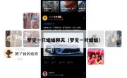 梦见一只蝙蝠聊天（梦见一对蝙蝠）