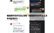 蝙蝠聊天软件怎么没啦（蝙蝠聊天软件怎么没有消息提示）