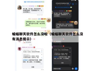 蝙蝠聊天软件怎么没啦（蝙蝠聊天软件怎么没有消息提示）