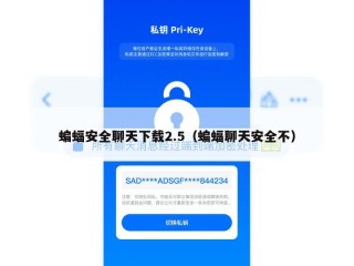 蝙蝠安全聊天下载2.5（蝙蝠聊天安全不）