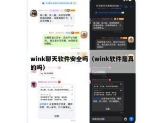 wink聊天软件安全吗（wink软件是真的吗）