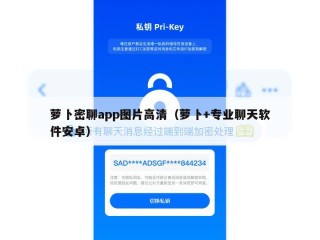 萝卜密聊app图片高清（萝卜+专业聊天软件安卓）