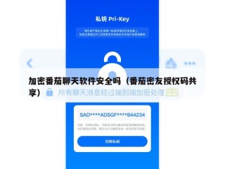 加密番茄聊天软件安全吗（番茄密友授权码共享）