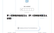 萝卜密聊服务器是怎么（萝卜密聊服务器怎么创建）