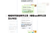 蝙蝠如何备份聊天记录（蝙蝠app聊天记录怎么导出）