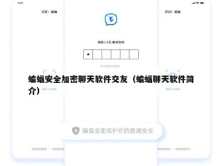 蝙蝠安全加密聊天软件交友（蝙蝠聊天软件简介）