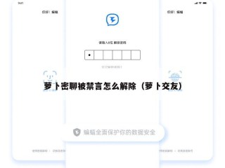 萝卜密聊被禁言怎么解除（萝卜交友）