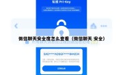 微信聊天安全度怎么查看（微信聊天 安全）