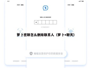 萝卜密聊怎么删除联系人（萝卜+聊天）