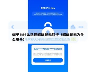 骗子为什么选择蝙蝠聊天软件（蝙蝠聊天为什么安全）