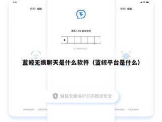 蓝鲸无痕聊天是什么软件（蓝鲸平台是什么）
