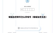 蝙蝠加密聊天怎么弄暗号（蝙蝠加密消息）