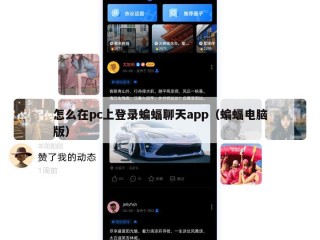 怎么在pc上登录蝙蝠聊天app（蝙蝠电脑版）