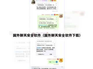 国外聊天安全软件（国外聊天安全软件下载）
