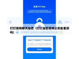 钉钉视频聊天加密（钉钉加密视频公安能看到吗）