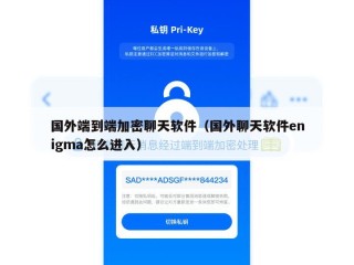 国外端到端加密聊天软件（国外聊天软件enigma怎么进入）