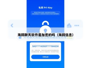 海鸥聊天软件是加密的吗（海鸥信息）
