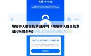蝙蝠聊天群里能发图片吗（蝙蝠聊天群里能发图片吗安全吗）