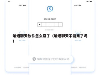蝙蝠聊天软件怎么没了（蝙蝠聊天不能用了吗）