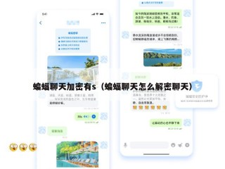 蝙蝠聊天加密有s（蝙蝠聊天怎么解密聊天）