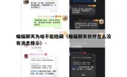 蝙蝠聊天为啥不能隐藏（蝙蝠聊天软件怎么没有消息提示）