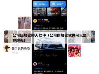 公司级加密聊天软件（公司的加密软件可以监控聊天）