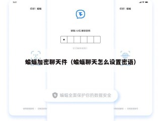 蝙蝠加密聊天件（蝙蝠聊天怎么设置密语）