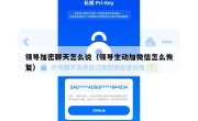 领导加密聊天怎么说（领导主动加微信怎么恢复）