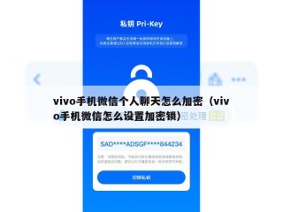 vivo手机微信个人聊天怎么加密（vivo手机微信怎么设置加密锁）