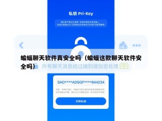 蝙蝠聊天软件真安全吗（蝙蝠这款聊天软件安全吗）