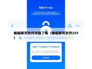 蝙蝠聊天软件改版了嘛（蝙蝠聊天软件255）