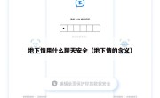 地下情用什么聊天安全（地下情的含义）