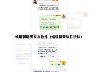 蝙蝠聊聊天交友软件（蝙蝠聊天软件玩法）