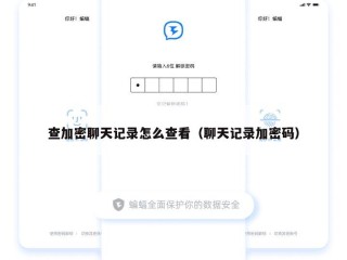 查加密聊天记录怎么查看（聊天记录加密码）