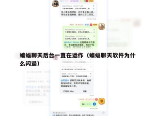 蝙蝠聊天后台一直在运作（蝙蝠聊天软件为什么闪退）
