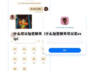 什么可以加密聊天（什么加密聊天可以买svip）