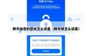 聊天加密的壁纸怎么设置（聊天锁怎么设置）