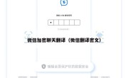 微信加密聊天翻译（微信翻译密文）